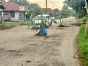 Protes Jalan Rusak, Warga Ubah Badan Jalan Jadi Kebun Pisang dan Tebu