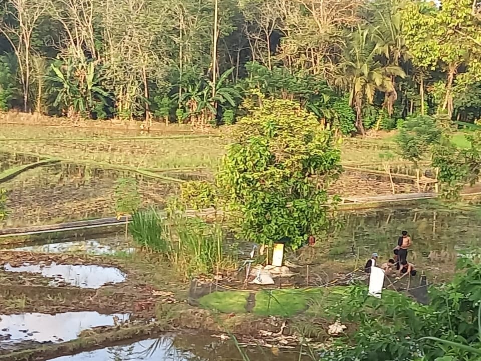 Dharmasraya Waspadai Alih Fungsi Lahan Sawah, Ancaman Ketahanan Pangan Jadi Sorotan