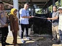 Penyerahan 26 Hewan Kurban Pemkab Dharmasraya Berlangsung di Pasar Ternak Gunung Medan